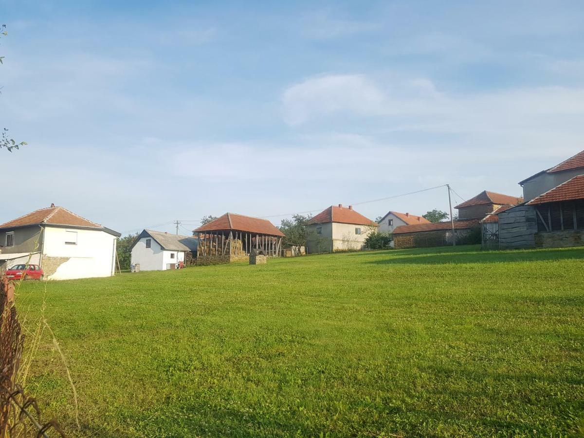 Green Apartments Kursumlija Eksteriør bilde